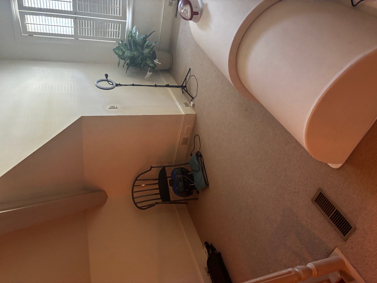 Ionic foot and waistband detox station with vibration plate